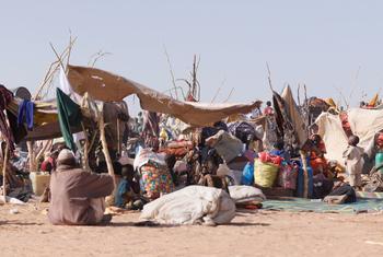 Families who fled fighting in El Fasher seek refuge in Tawila in North Darfur.