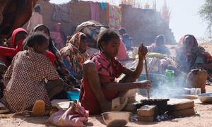 Over 700,000 people have been displaced by violence in Darfur, Sudan.