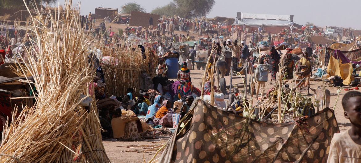 Families who fled El Fasher in North Darfur, seek refuge in a camp for displaced people. (file)