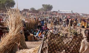 Families who fled El Fasher in North Darfur, seek refuge in a camp for displaced people. (file)