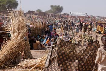 Las familias que huyeron de El Fasher, en Darfur del Norte, buscan refugio en un campamento para personas desplazadas. Las familias que huyeron de El Fasher, en Darfur del Norte, buscan refugio en un campamento para personas desplazadas.