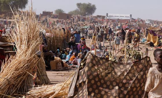 Families who fled El Fasher in North Darfur, seek refuge in a camp for displaced people. (file)