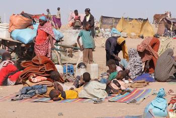  Families that fled fighting in Zamzam and El Fasher in North Darfur, seek refuge in Tawila. 