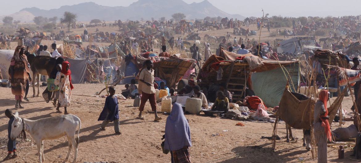 Vendors surrounded by garbage sell goods in Port-au-Prince, Haiti.
   

11 March 2025 Human Rights