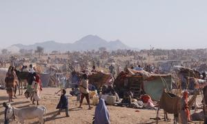 In Darfur, thousands of people have fled fighting to seek refuge in Tawila.