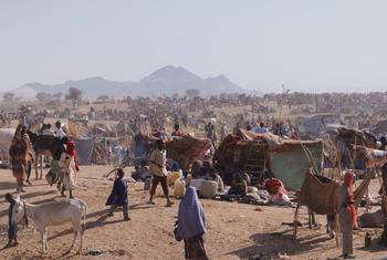 فر آلاف الأشخاص من القتال دارفور بحثا عن ملجأ في منطقة طويلة.