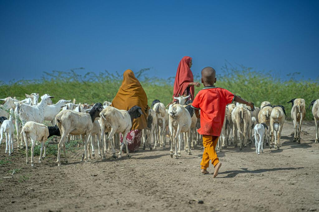 Madhara ya mzozo huo tayari yanaonekana katika nchi kama Somalia, ambayo inaweza kudhoofisha uuzaji wake wa mifugo muhimu kwenda Mashariki ya Kati.