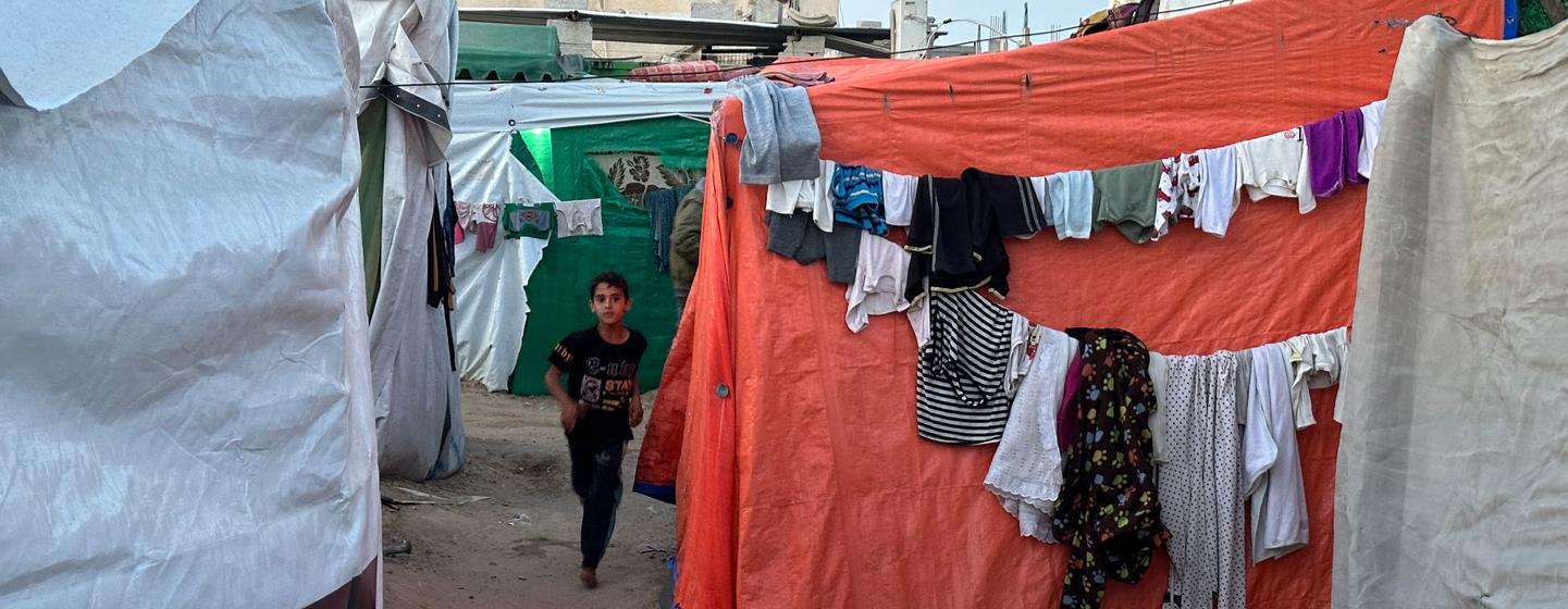 Les habitants de Gaza continuent de fuir leurs maisons et de s'abriter sous des tentes.