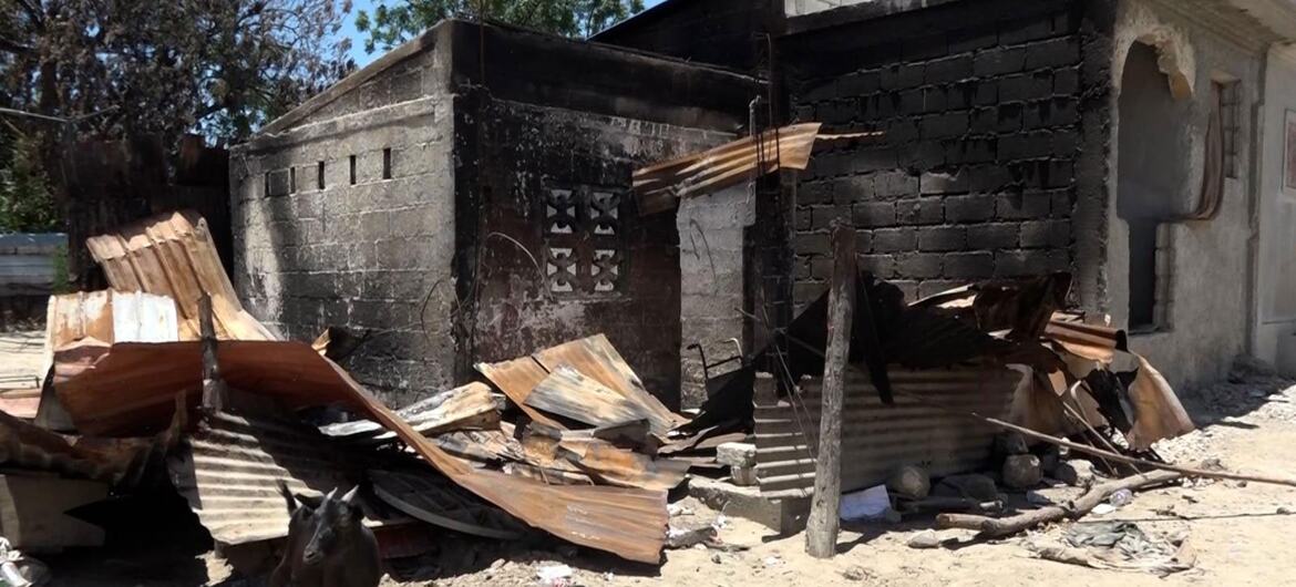 Une chèvre se tient devant un bâtiment incendié et partiellement détruit, au toit de tôle ondulée, à Cité Soleil, en Haïti.