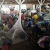 Les habitants de Cité Soleil, y compris des familles avec enfants et des personnes âgées, fuient en passant par la communauté voisine de Drouillard, au nord de Port-au-Prince, près de l'aéroport de la capitale haïtienne.