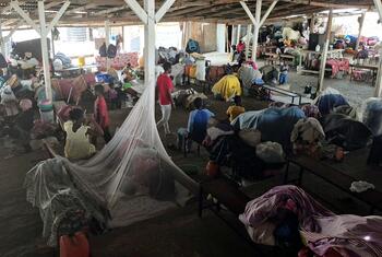 Les habitants de Cité Soleil, y compris des familles avec enfants et des personnes âgées, fuient en passant par la communauté voisine de Drouillard, au nord de Port-au-Prince, près de l'aéroport de la capitale haïtienne.