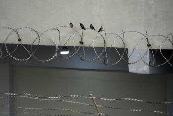 Mkuu wa Haki za Binadamu wa Umoja wa Mataifa, Volker Türk, amezitaka mamlaka za Misri kukomesha utaratibu unaofanya wakosoaji wa Serikali kuzuiliwa kiholela na kwa muda mrefu, hata baada ya kutumikia vifungo vyao au kukamilisha muda wa juu wa kizuizi cha…