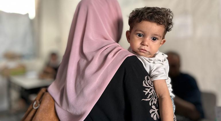 الأونروا: الناس في غزة يواجهون الاختيار بين الموت تجويعا أو التعرض للقتل خلال البحث عن الطعام