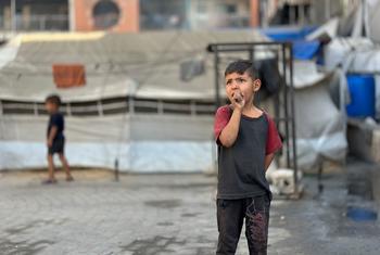 UNRWA teams in Gaza City continue to screen children for malnutrition in Gaza, where a UN-backed food monitoring group has raised alarms about famine.