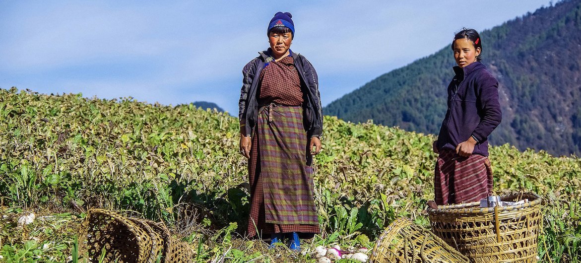 En Bután, campesinos se adaptan al cambio climático.