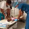 Une fillette est traitée pour le choléra à Port-au-Prince, en Haïti.