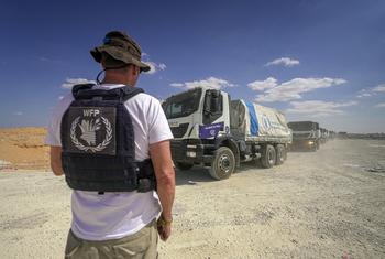 شاحنات برنامج الأغذية العالمي تتجه نحو جنوب قطاع غزة.