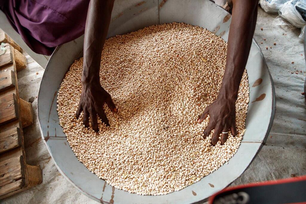 Конфликт на Ближнем Востоке сказывается на стоимости продуктов питания во многих частях мира.