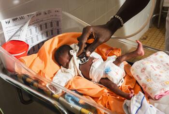 A nurse uses a stethoscope on a newborn baby in an incubator at the Bangui Pediatric Complex in the Central African Republic.
