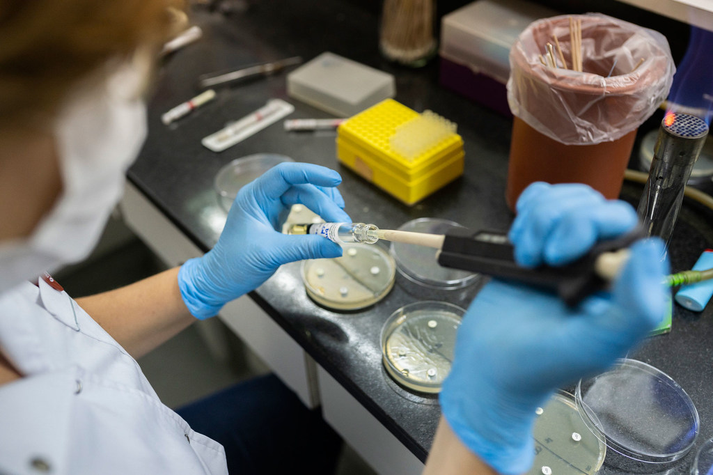 Des tests de résistance aux antimicrobiens sont effectués dans un laboratoire situé à Buenos Aires, en Argentine.