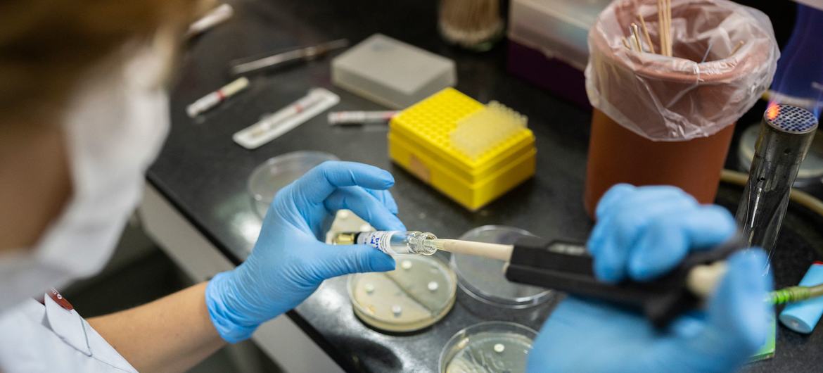 अर्जेन्टीना की एक प्रयोगशाला में एंटीमाइक्रोबियल प्रतिरोध के लिए परीक्षण किया जा रहा है.