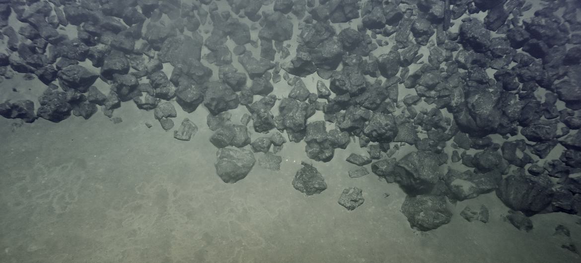 El fondo oceánico alberga minerales de tierras raras, desde cobalto hasta zinc.