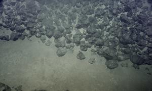 The ocean floor is home to highly sought after rare earth minerals, from cobalt to zinc.