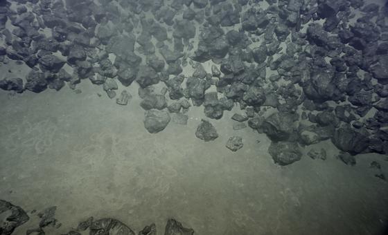 Deep-sea must not turn into ‘Wild West’ of rare minerals exploitation, agency head says thumbnail