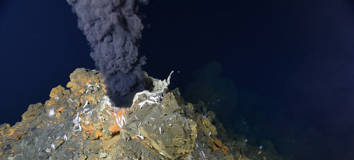An active volcano on the ocean floor. An active volcano on the ocean floor.