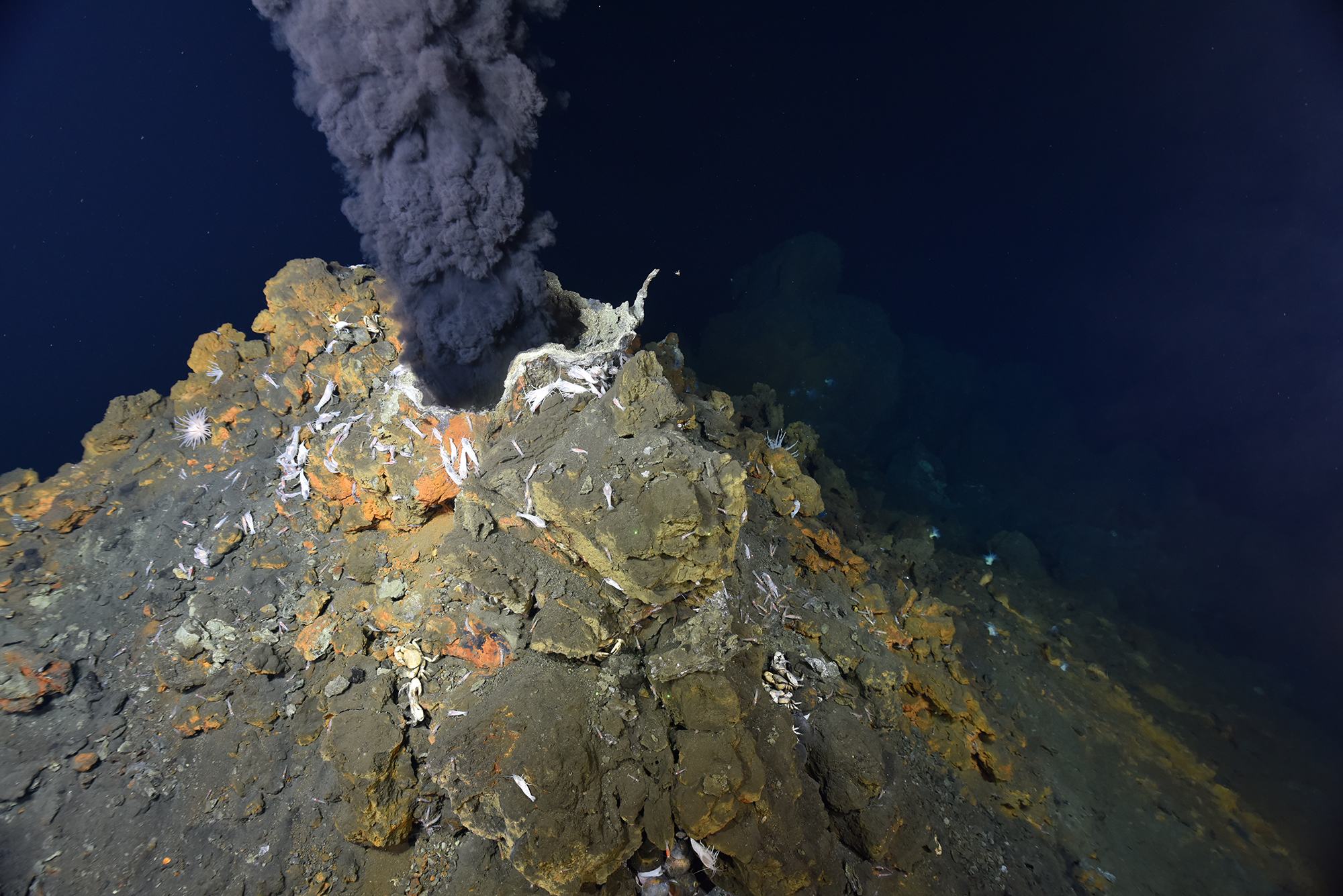 Un volcan actif au fond de l'océan.