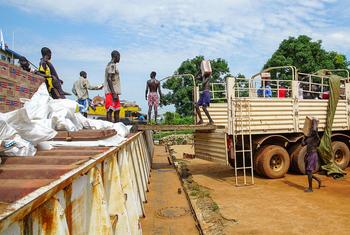 media:entermedia_image:34a1aa30-1b5a-4e2e-a77d-f43856250dac