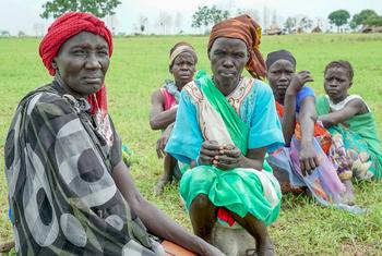 Plus de la moitié de la population du Soudan du Sud souffre d’une insécurité alimentaire aiguë. Plus de la moitié de la population du Soudan du Sud souffre d’une insécurité alimentaire aiguë.
