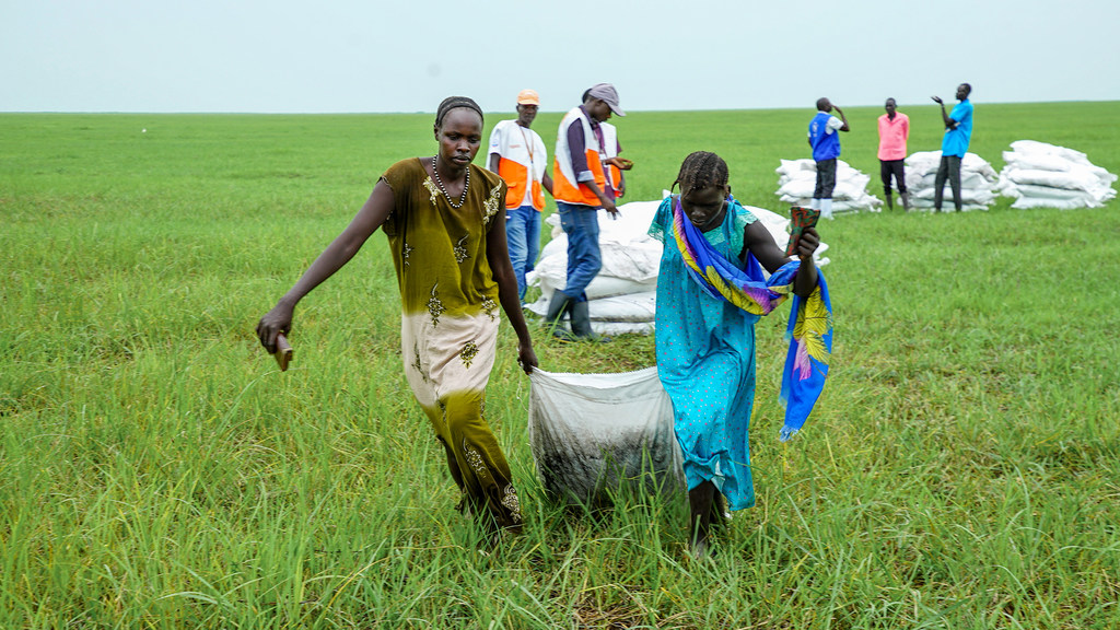 South Sudan. Airdrops in Nyueny, Upper Nile state.