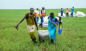 South Sudan. Airdrops in Nyueny, Upper Nile state.
