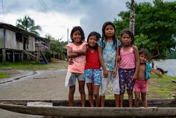 Ocho agencias de la ONU en Colombia se unen a través del proyecto CERF para atender de manera integral las necesidades de la población en el Litoral del San Juan, en la frontera entre Chocó y Valle del Cauca. Juntos trabajan por una respuesta eficaz en s…