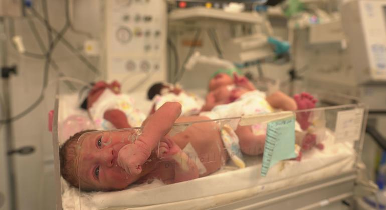À la maternité Al-Helal Al-Emirati de Rafah, 77 bébés se partagent 20 couveuses. 