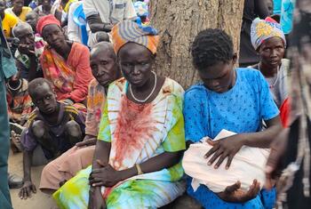 media:entermedia_image:9434d15e-eeb3-49a2-aba2-a1ad3d793a56