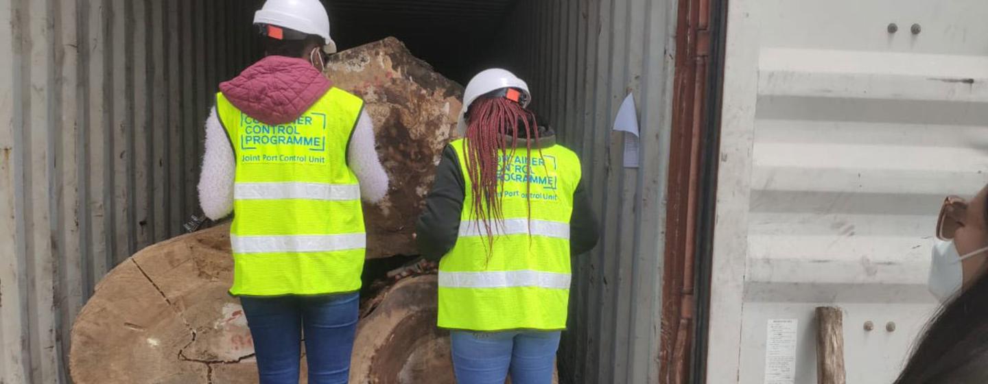 Les agents des douanes et des forces de l'ordre empêchent d'énormes quantités de contrebande d'entrer sur les marchés des pays de destination.