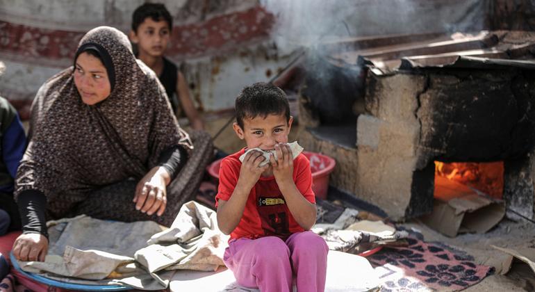 Las familias en Gaza no tienen qué  comer.