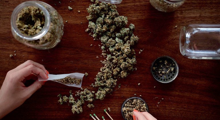 Legalizing cannabis fails to address health risks: UN drugs control board