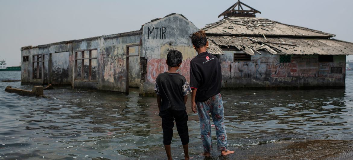 A mosque is partially submerged  in the Muara Baru neighbourhood of North Jakarta, Indonesia.