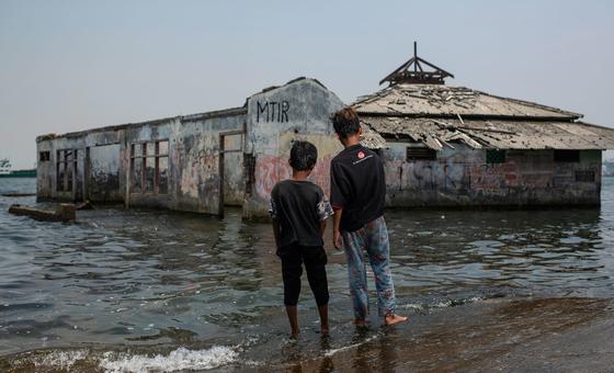 Stop global warming to turn the tide on sea level rise: UN Assembly President