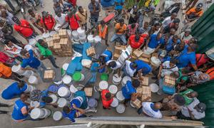 An IOM aid distribution point in Port-au-Prince