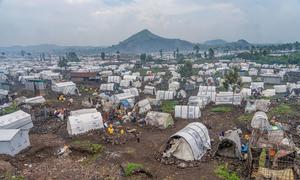 An IDP camp near Goma hosting thousands of displaced families.