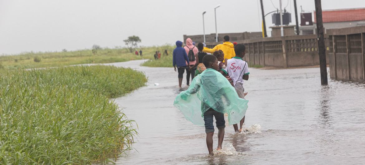 A mudança climática é um dos fatores de risco que impulsionam o aumento de certas infecções