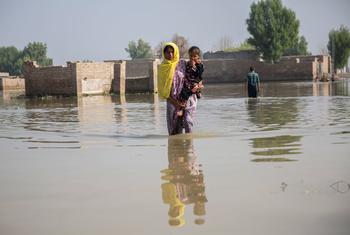 在巴基斯坦信德省，洪水过后，疟疾和其他疾病呈上升趋势。（资料图片）