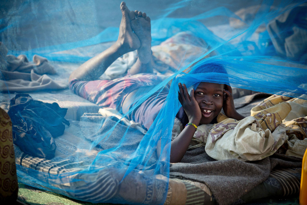 Los mosquiteros han salvado la vida de millones de niños contra la malaria desde el año 2000.