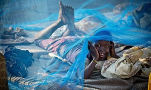 Beds nets have saved millions of children's lives from malaria since 2000.
