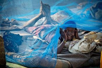 Beds nets have saved millions of children's lives from malaria since 2000.