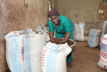 A inflação de alimentos, com média acima de 6%, continua a atingir as famílias de baixa renda mais duramente, particularmente na África, Sul da Ásia e Ásia Ocidental. 